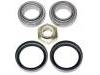 轴承修理包 Wheel bearing kit:5 011 391