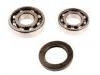 Radlagersatz Wheel Bearing Rep. kit:VKBA 887